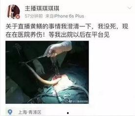女主播事件黄鳝