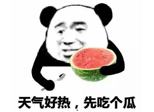 娱乐吃瓜表情包,笑料横生！